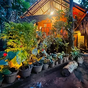 shan-home-stay-sigiriya.kandyhotelsnow.com/
